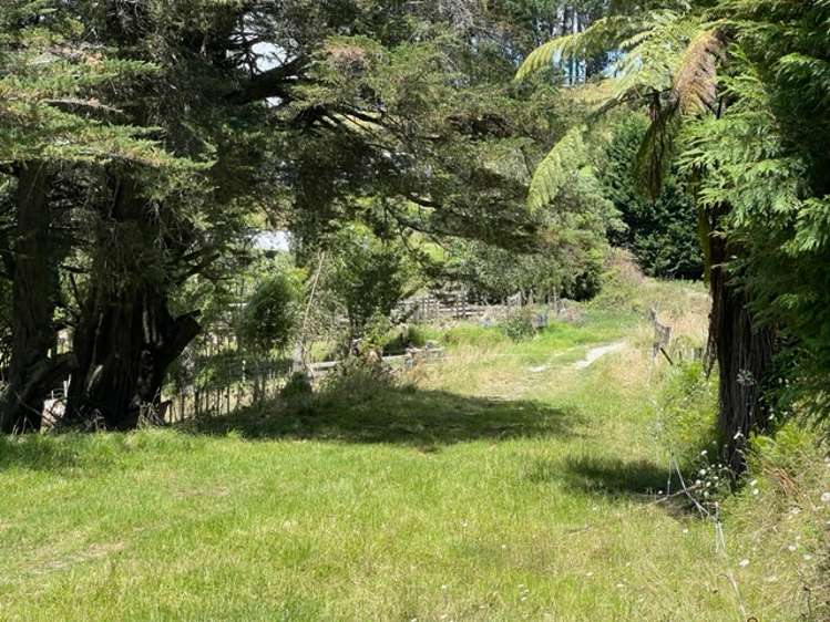 500 Reid Road Papamoa_28