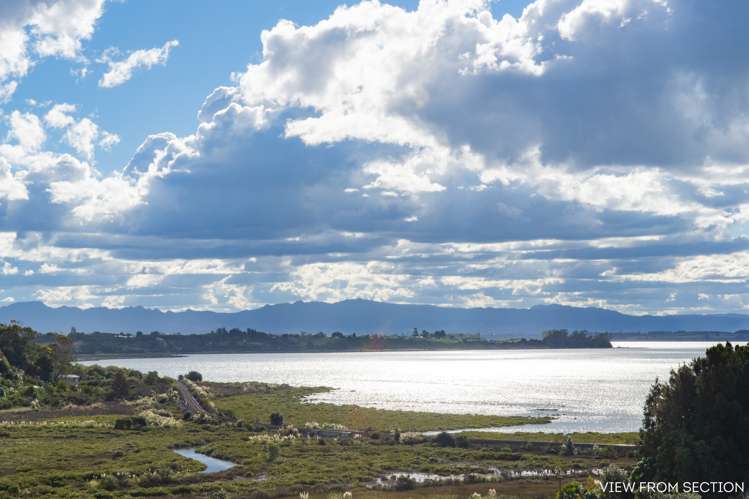 82 Anne Road Bellevue_7