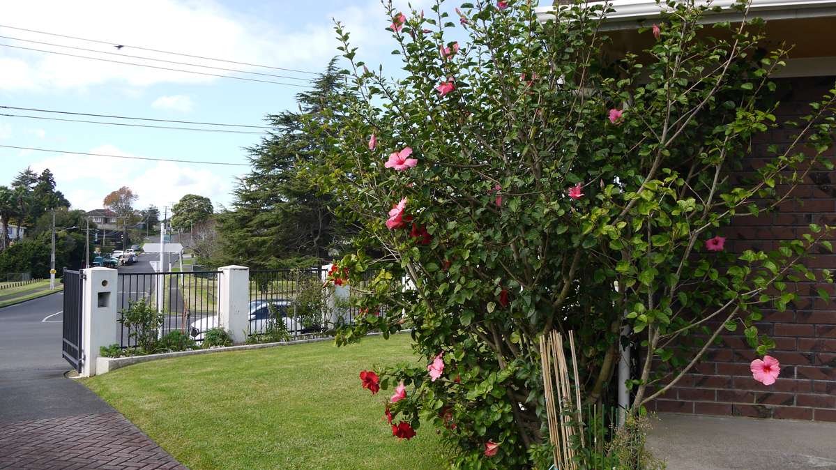 97 Coxhead Road_2