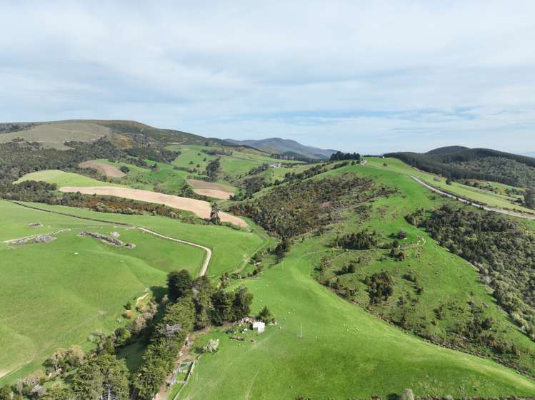 63 Sandford Road Catlins Surrounds_8
