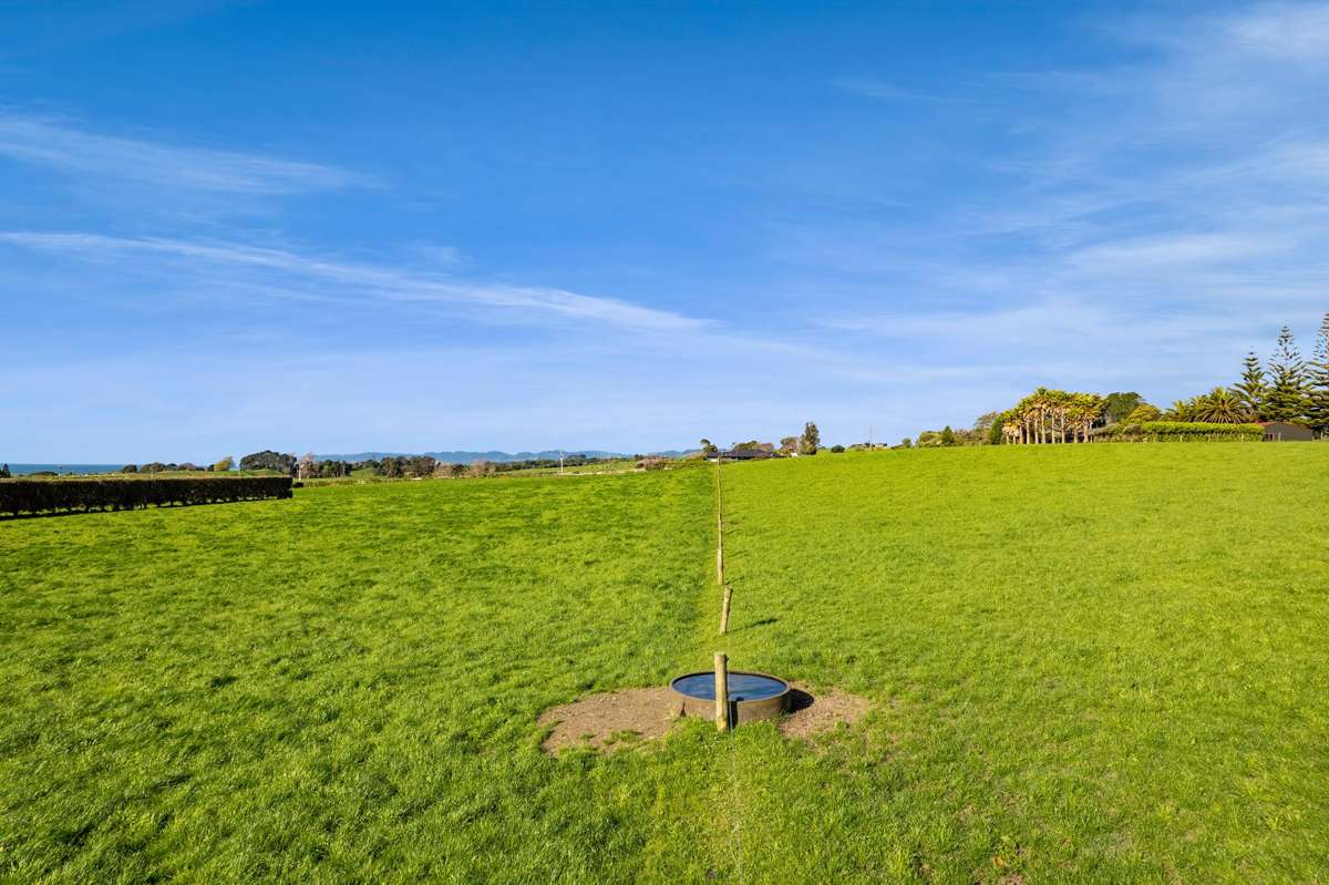 1028 Main North Road_5