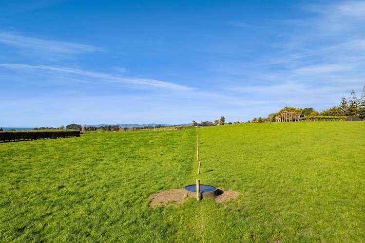 1028 Main North Road Onaero_9