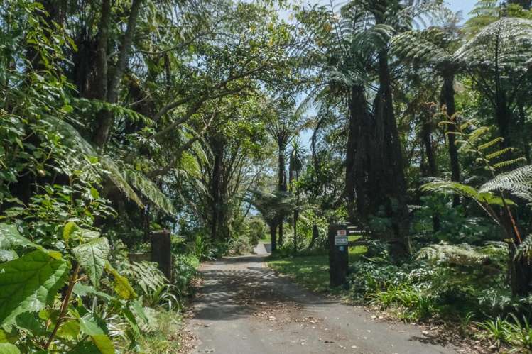 169 Tumoana Road Tikitere_28