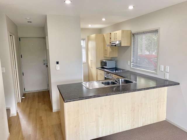 91C Albert Street 1074_1