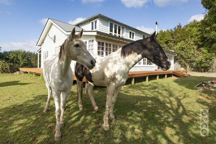 344 Waitakere Road Taupaki_21