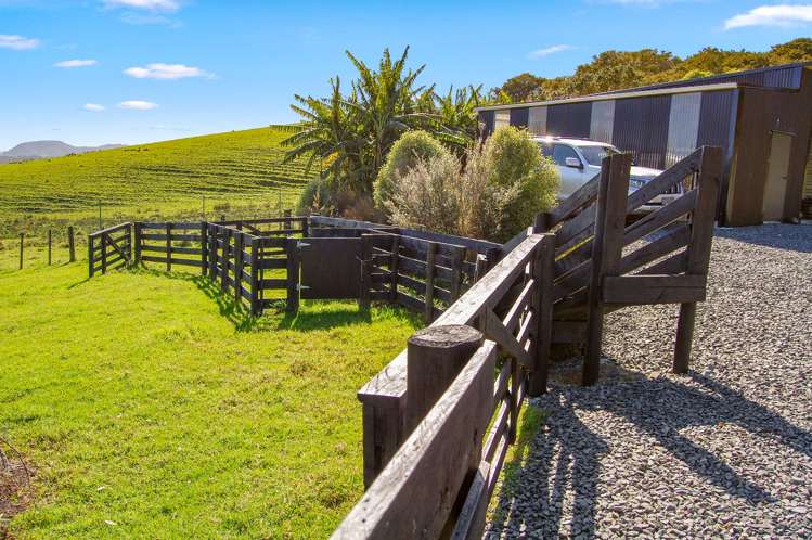 598A Oneriri Road Kaiwaka_23