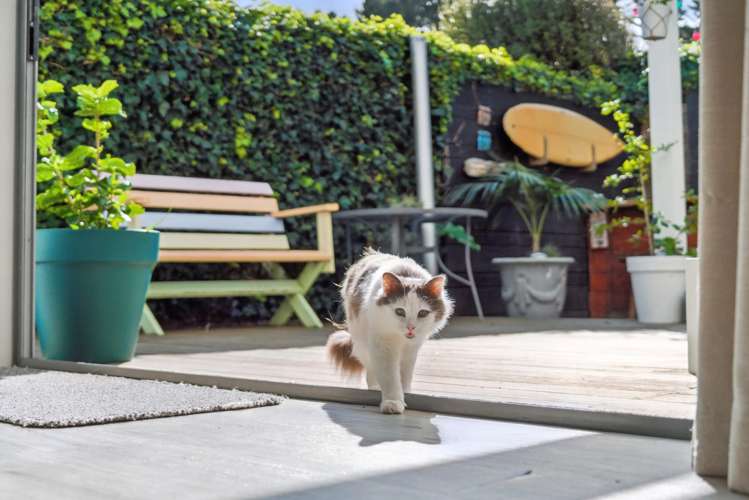 11b Dickson Road Papamoa_31