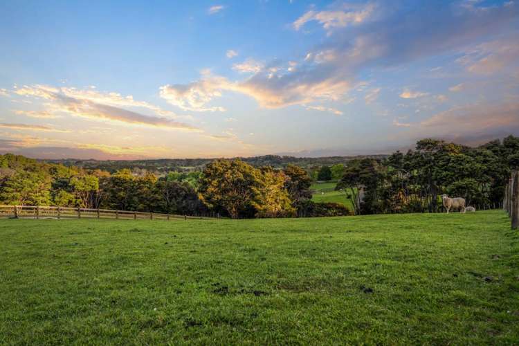 153 Waikoukou Valley Road Waimauku_11