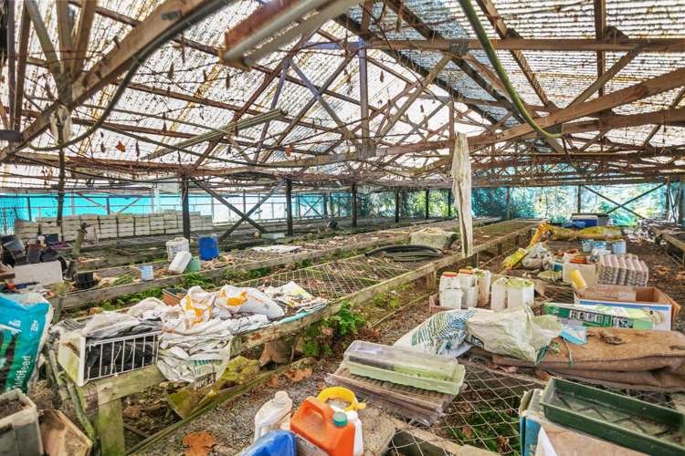 664 State Highway 2 Katikati_26