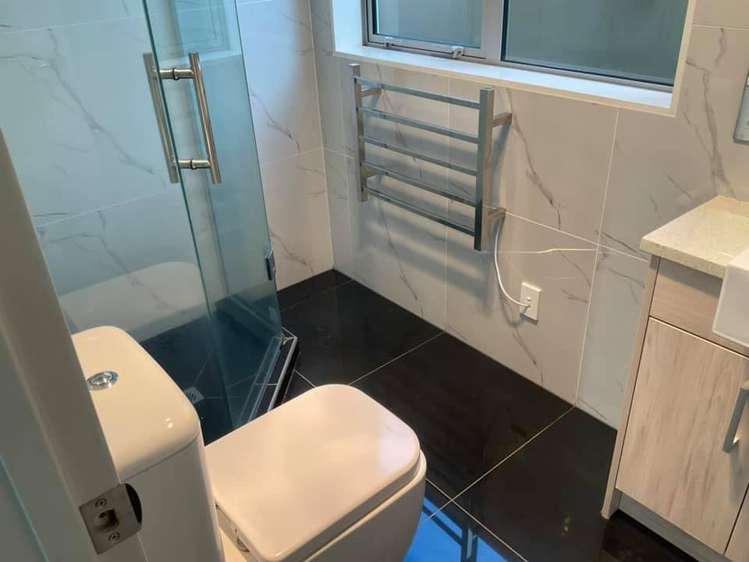 20 Ballindrait Drive Flat Bush_4