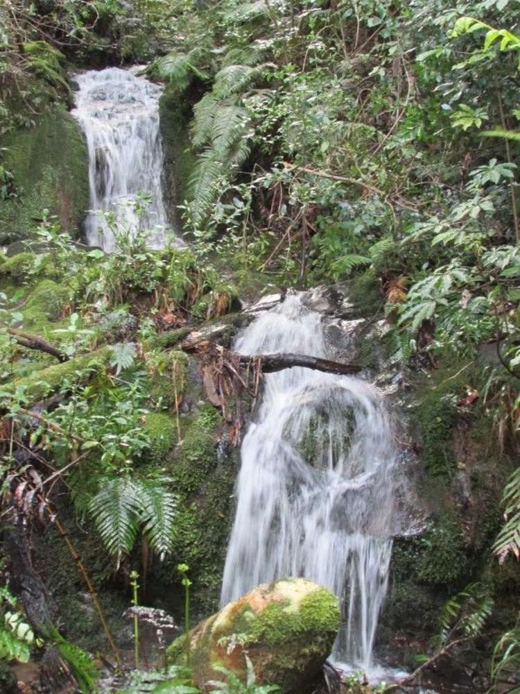 124 Victoria Street Whakatete Bay_22