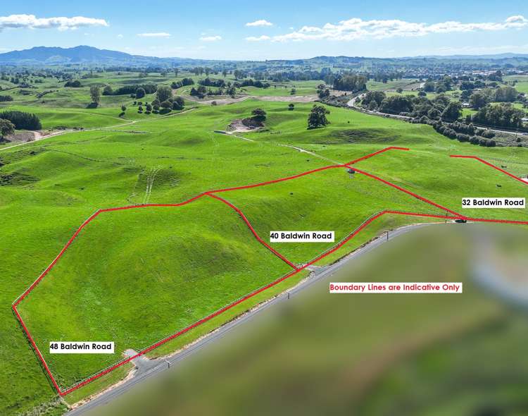 32, 40, 48 Baldwin Road Putaruru_1