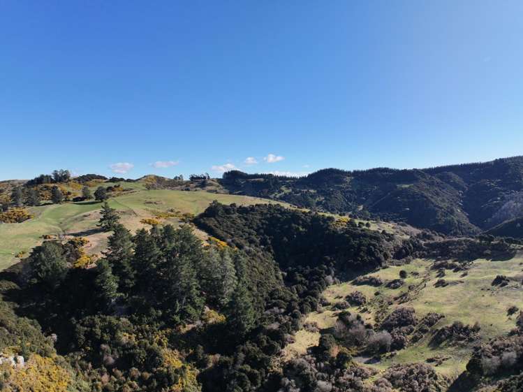 121 Silverstream Valley Road North Taieri_11