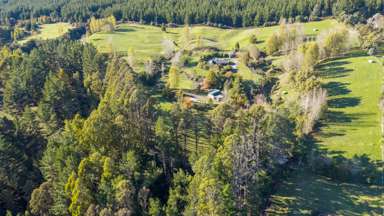 167 Caroline Drive_3