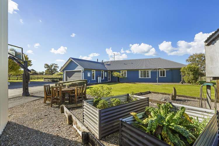 64b Crawford Road Te Kowhai_31