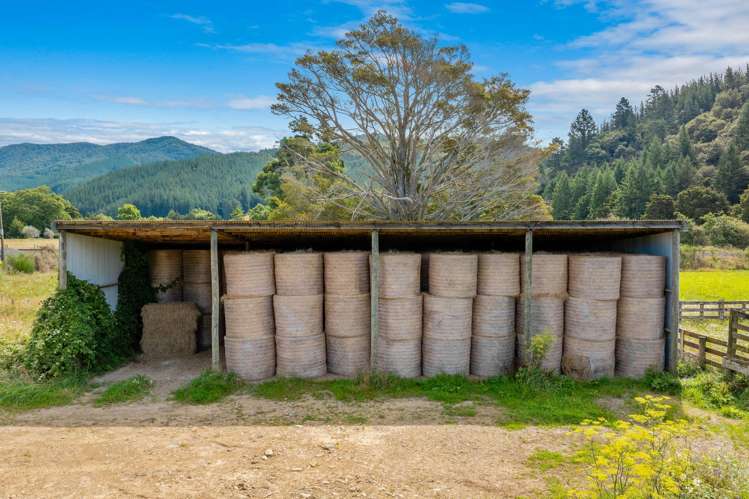 State Highway 1 Koromiko_10