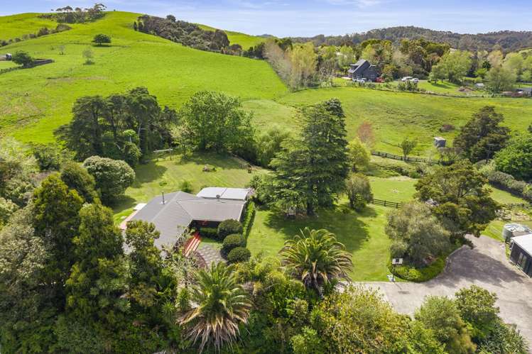 258 Blackbridge Road Dairy Flat_25