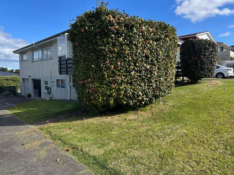 19 Taitua Drive Te Atatu South_19