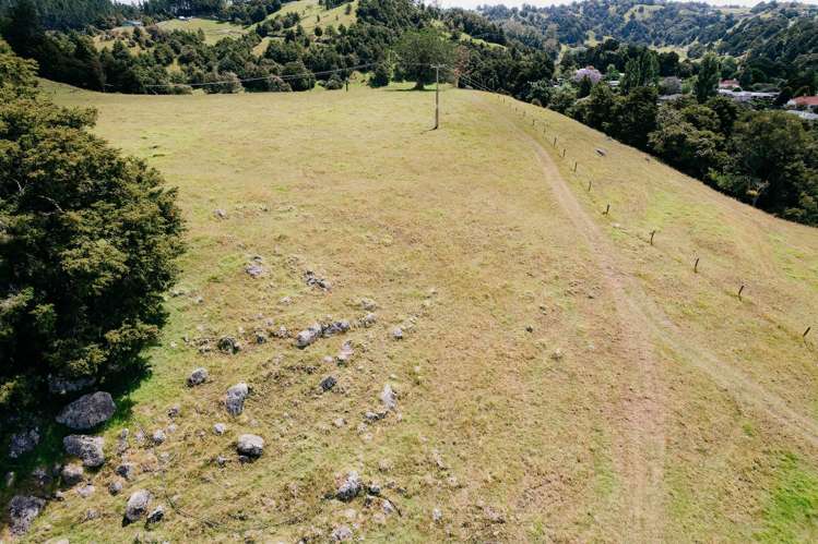 48 Bedlington Street Whau Valley_29