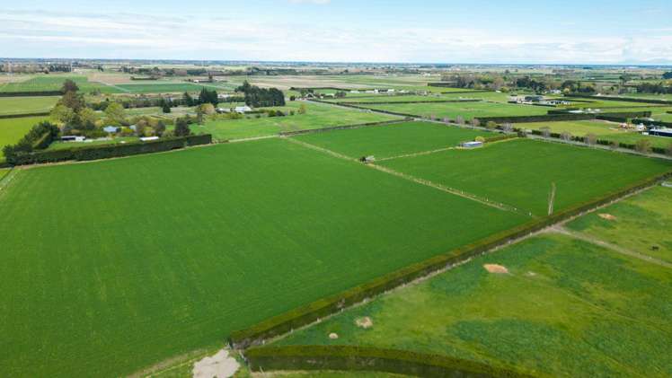 955 Springs Road Prebbleton_5