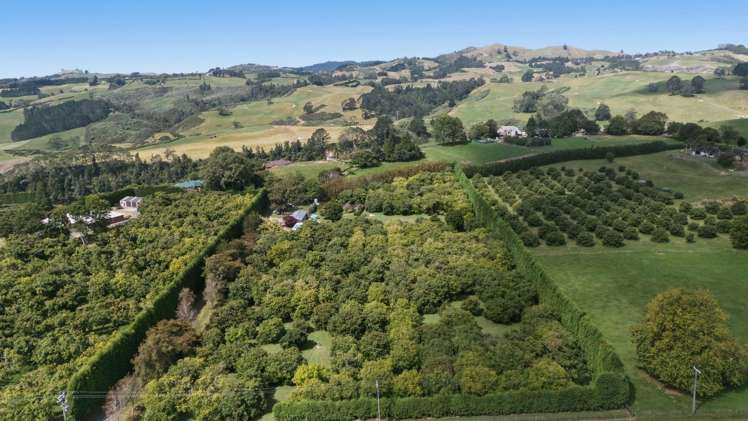 151a Hereford Road Oropi_21