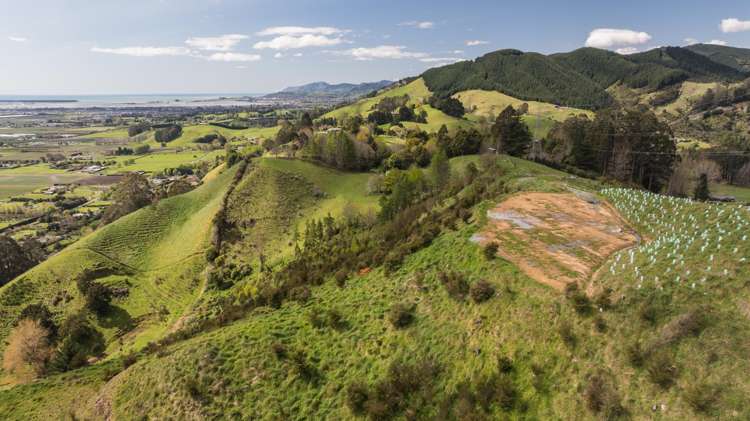 Lot 4 326 Aniseed Valley Road Aniseed Valley_7