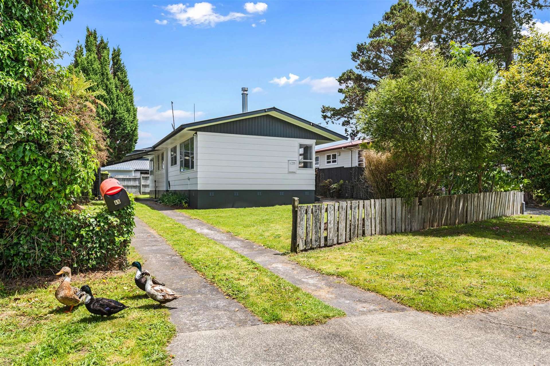 45 Collie Drive Pukehangi_0