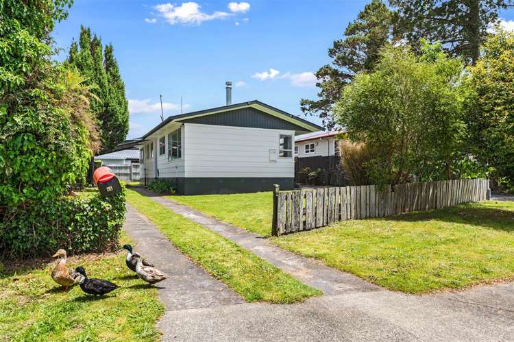 45 Collie Drive Pukehangi_0