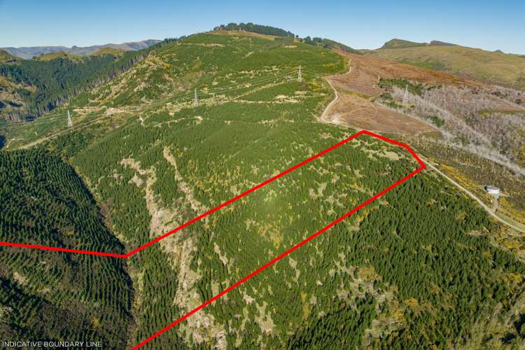 361 Worsleys Road Cashmere_16