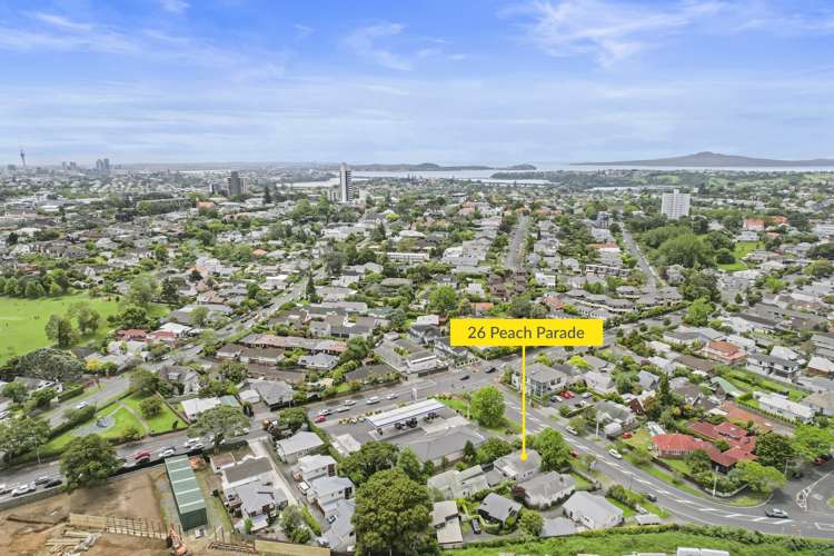 26 Peach Parade Remuera_9