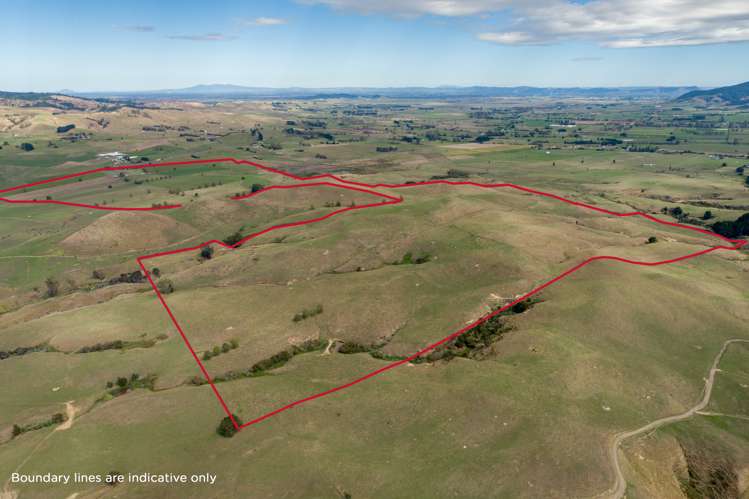 3175 Tahuna-Ohinewai Road Tahuna_2