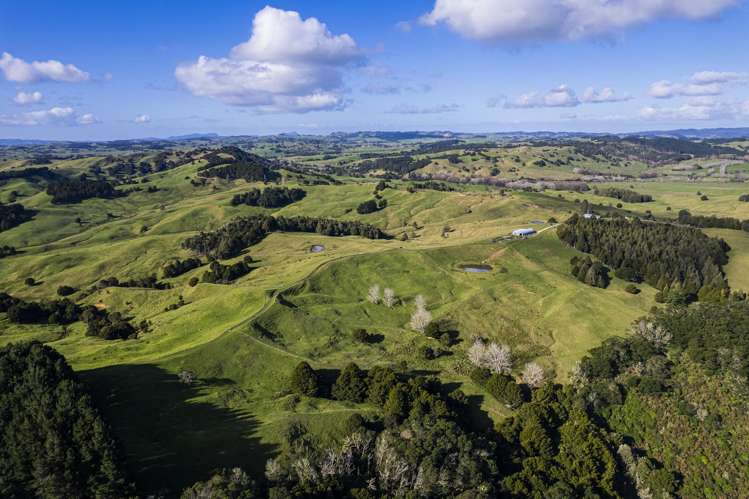 235 Hilford Road Waiotira_22