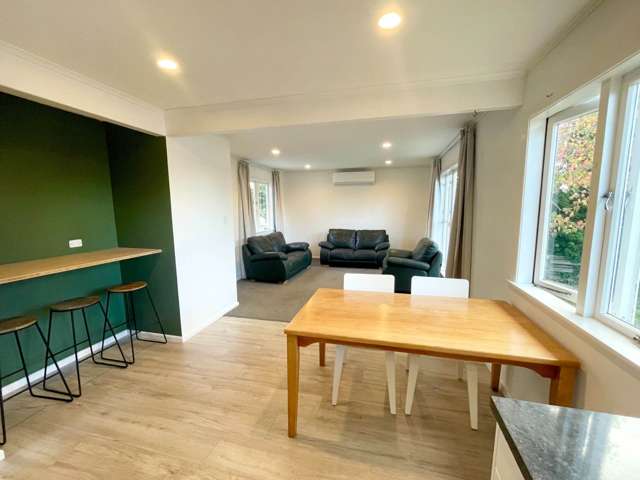 41 Gilliam Street New Lynn_3