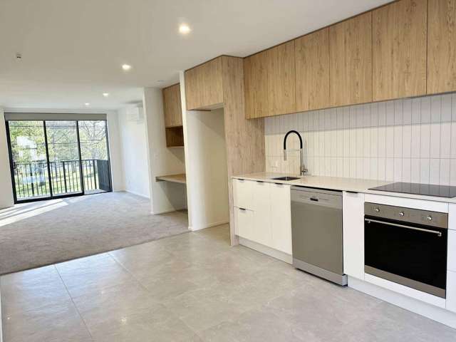 4/ 5 Ward Street Addington_3