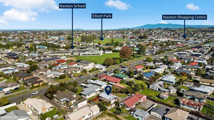56A Grandview Road Nawton_16