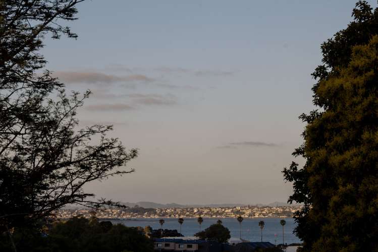 18 Hobson Drive Panmure_22