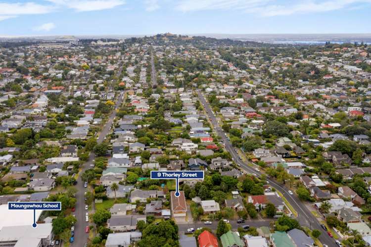 9 Thorley Street Mount Eden_11