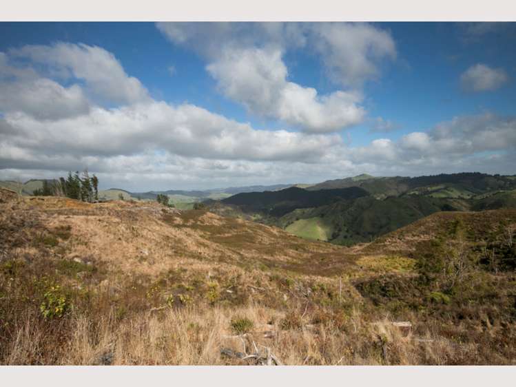 15 State Highway 49 Ohakune_19