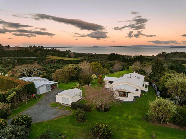 258 Kauri Point Road Tahawai_0