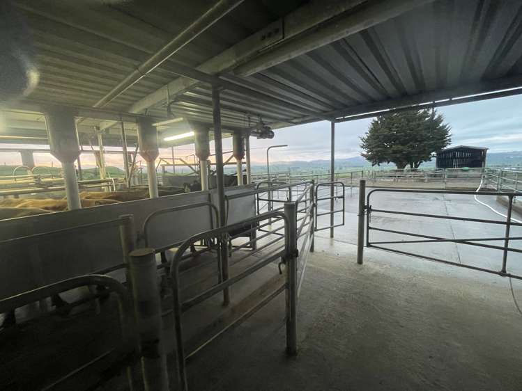 402 Awatane Road Otorohanga_10