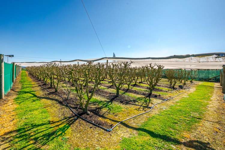 16 Arowhenua Station Road Kerrytown_63