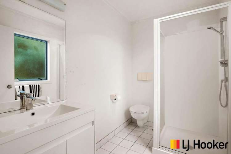 16 Aldersgate Road Hillsborough_14