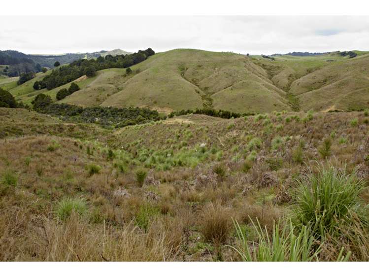 47 Haul Road Tahekeroa_16