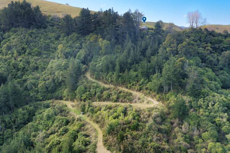 Takaka Hill Takaka Hill_5