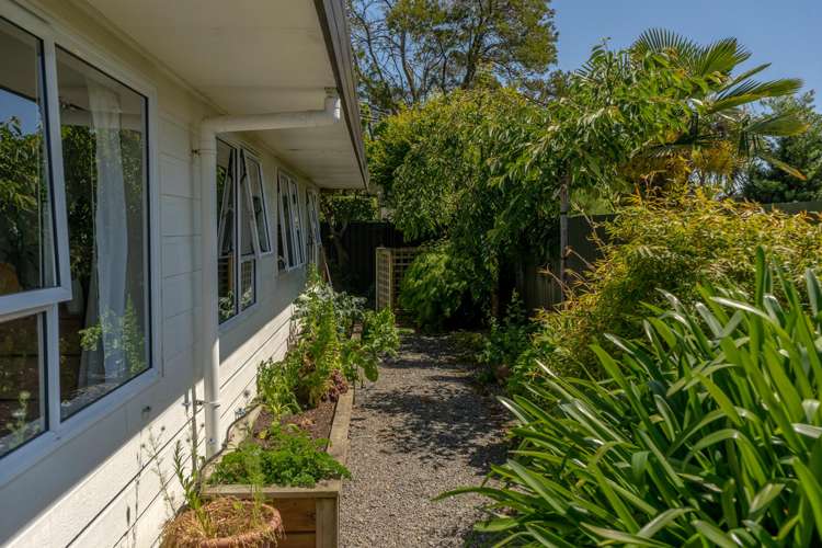 186a Dixon Street Masterton_19