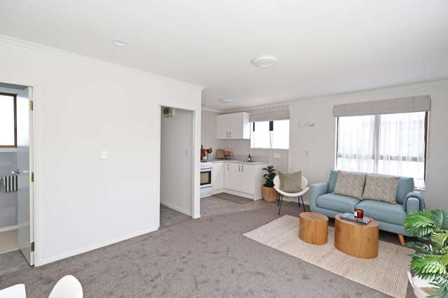 259 Nelson Street Strathern_2