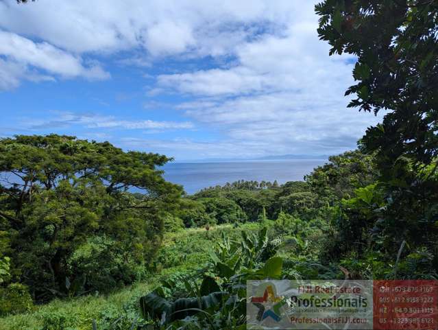 Address withheld Taveuni_4