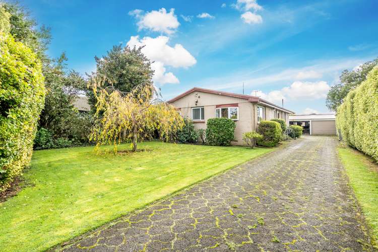 330 Chelmsford Street Waverley_18