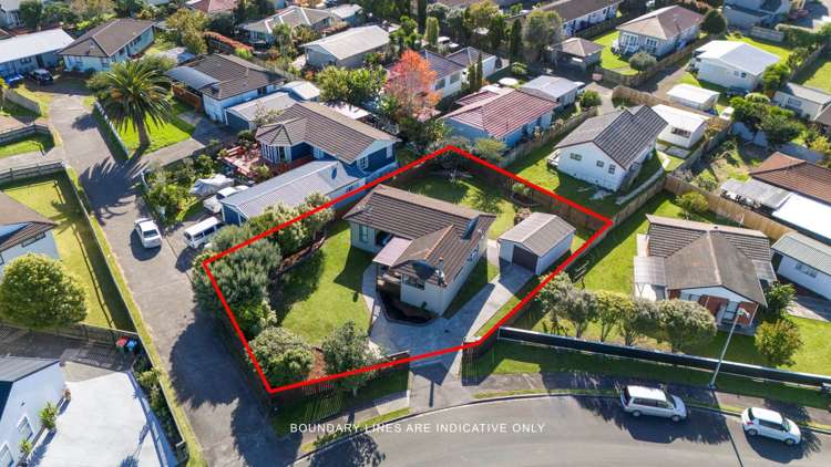 58 Tony Segedin Drive Avondale_20