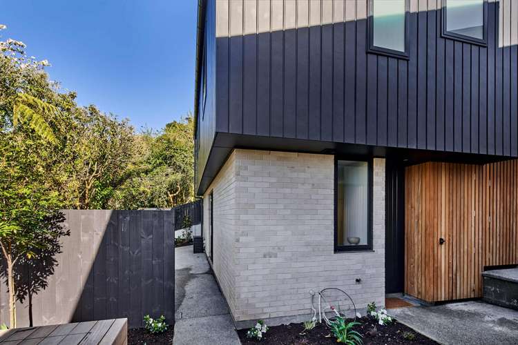 17 Ara Toutouwai Karori_16